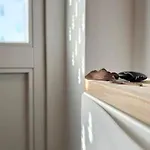 Bergsuite Schwarzwald Prázdninový dům Herrischried